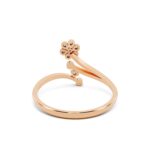 Solstice Shine - Image 2