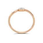 Regal Radiance - Image 3