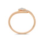 Lustrous Legacy - Image 4